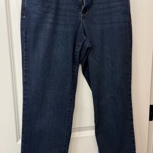 Democracy Indigo Jeans with 'Ab' Technology